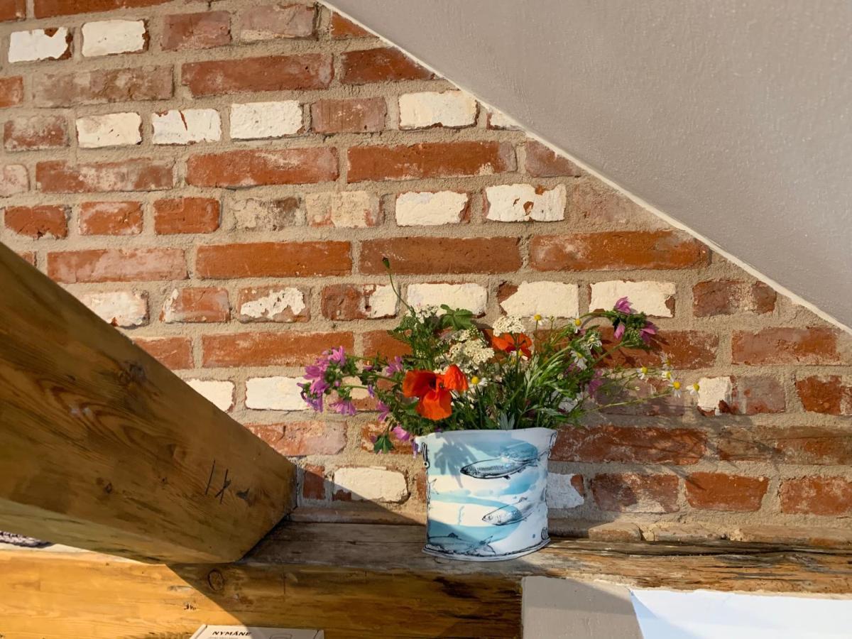 Fewo Herrmann Petersdorf auf Fehmarn エクステリア 写真